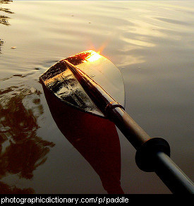 Photo of a paddle