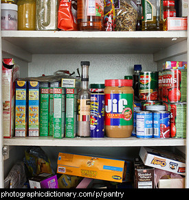 Photo of a full pantry