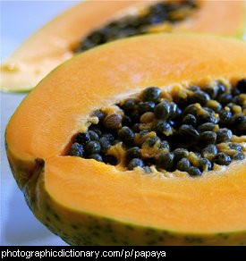 Photo of pawpaw or papaya