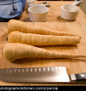 Photo of parsnips