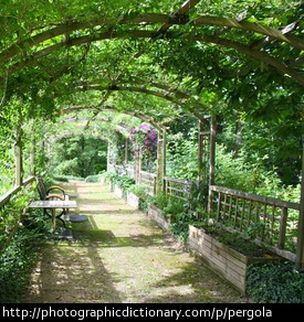 A pergola.