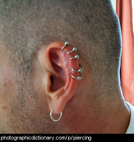 Photo of a man with pierced ears