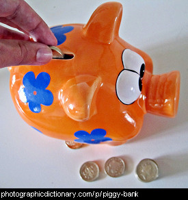 Photo of a piggy bank