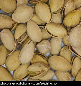 Photo of pistachio nuts