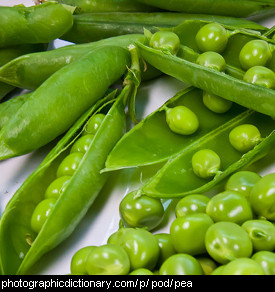 Photo of peas in pods