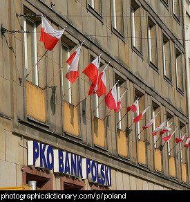 Photo of Polish flags