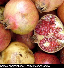 Photo of pomegranates