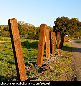 Photo of fence posts
