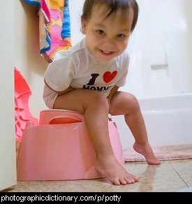 Photo of a toddler sitting on a potty