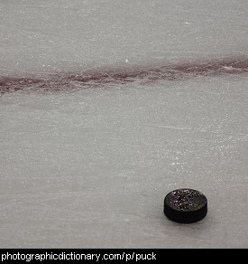 Photo of a hockey puck