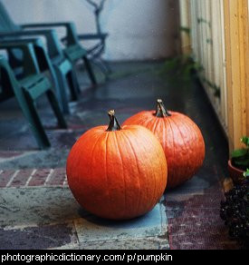 Photo of two pumpkins.