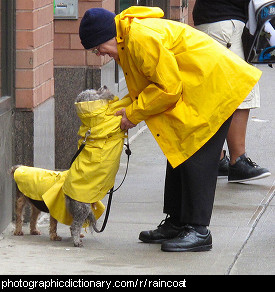 Photo of a man and a dog wearing raincoats