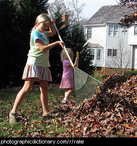 Photo of someone raking leaves