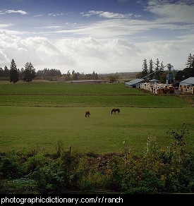 Photo of a ranch