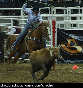Photo of a rodeo