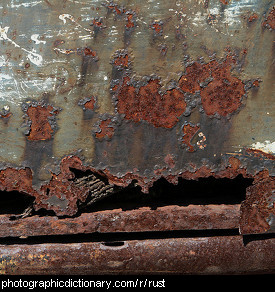 Photo of rust