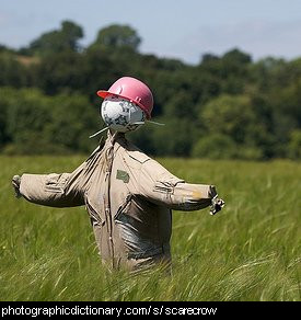 Photo of a scarecrow