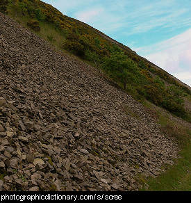 Photo of a scree