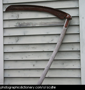 Photo of a scythe