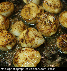 Seared scallops.