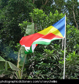 Photo of the Seychelles flag
