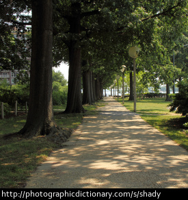 Shady path.