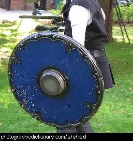 Photo of a blue shield
