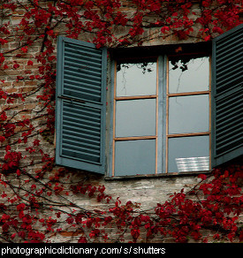 Photo of window shutters