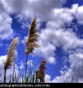 Photo of the sky