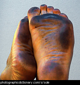 Photo of the soles of some feet.