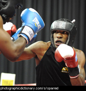 Photo of boxers sparring