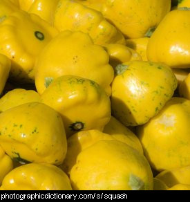 Photo of a squash