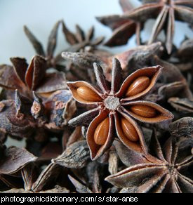 Photo of star anise seeds