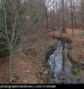 Photo of a stream