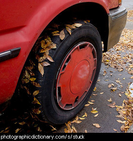 Photo of leaves stuck to a car tire