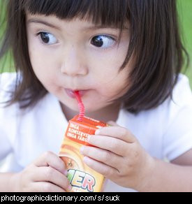 Photo of a little girl sucking through a straw