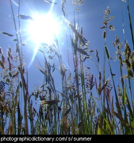 Photo of a hot summer day