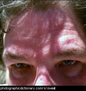 Photo of a sweaty forehead
