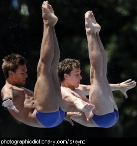 Photo of synchronized divers