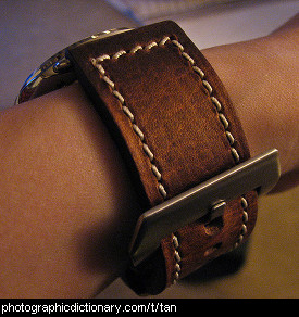 Photo of a tan leather watch strap