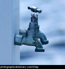 Photo of two garden taps.