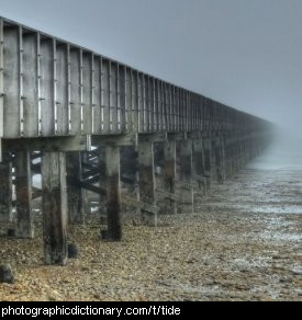 Photo of a jetty at low tide