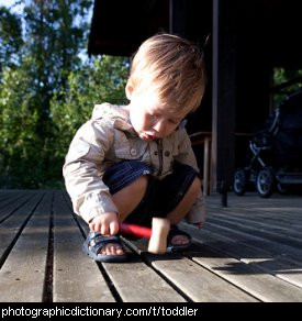 Photo of a toddler