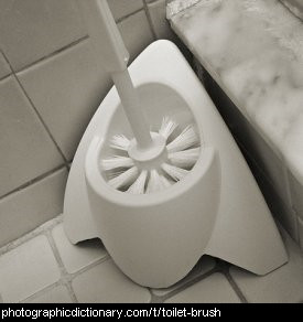 Photo of a toilet brush