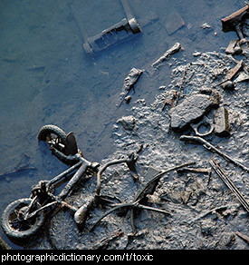 Photo of toxic mud