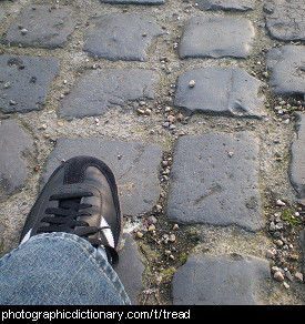 Photo of a foot treading