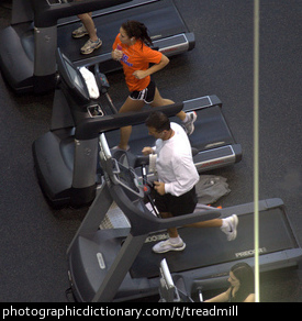 Photo of people on treadmills