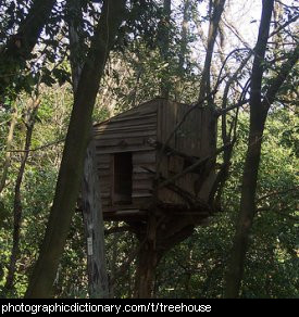Photo of a treehouse