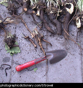 Photo of a gardening trowel