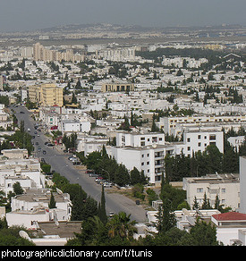 Photo of Tunis, Tunisia